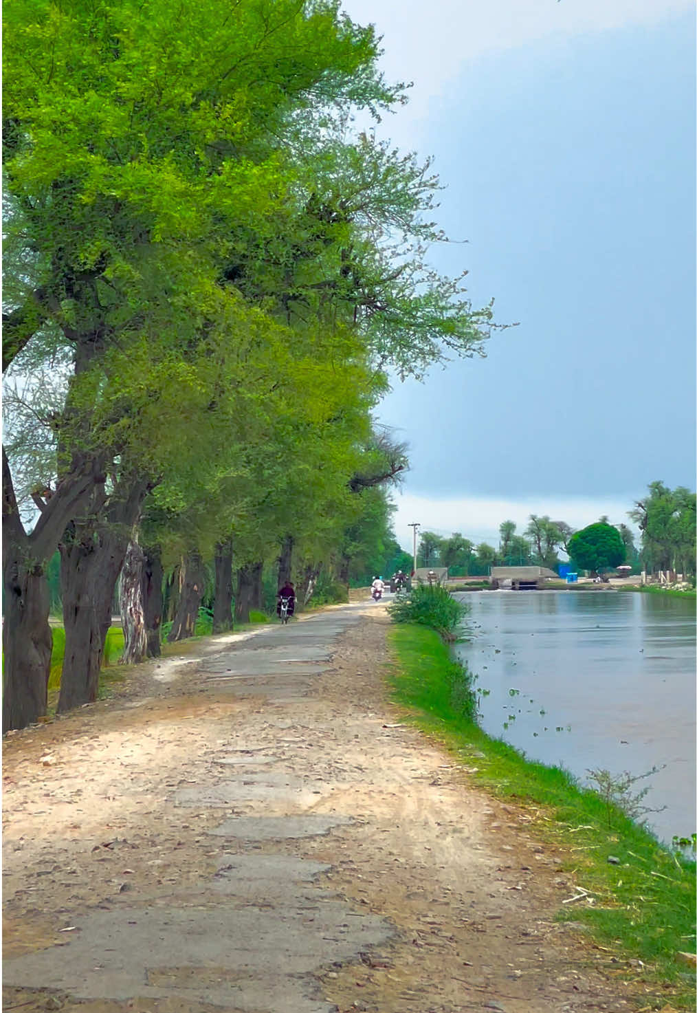 @احمد ہنجرا_بہاولنگر🥰