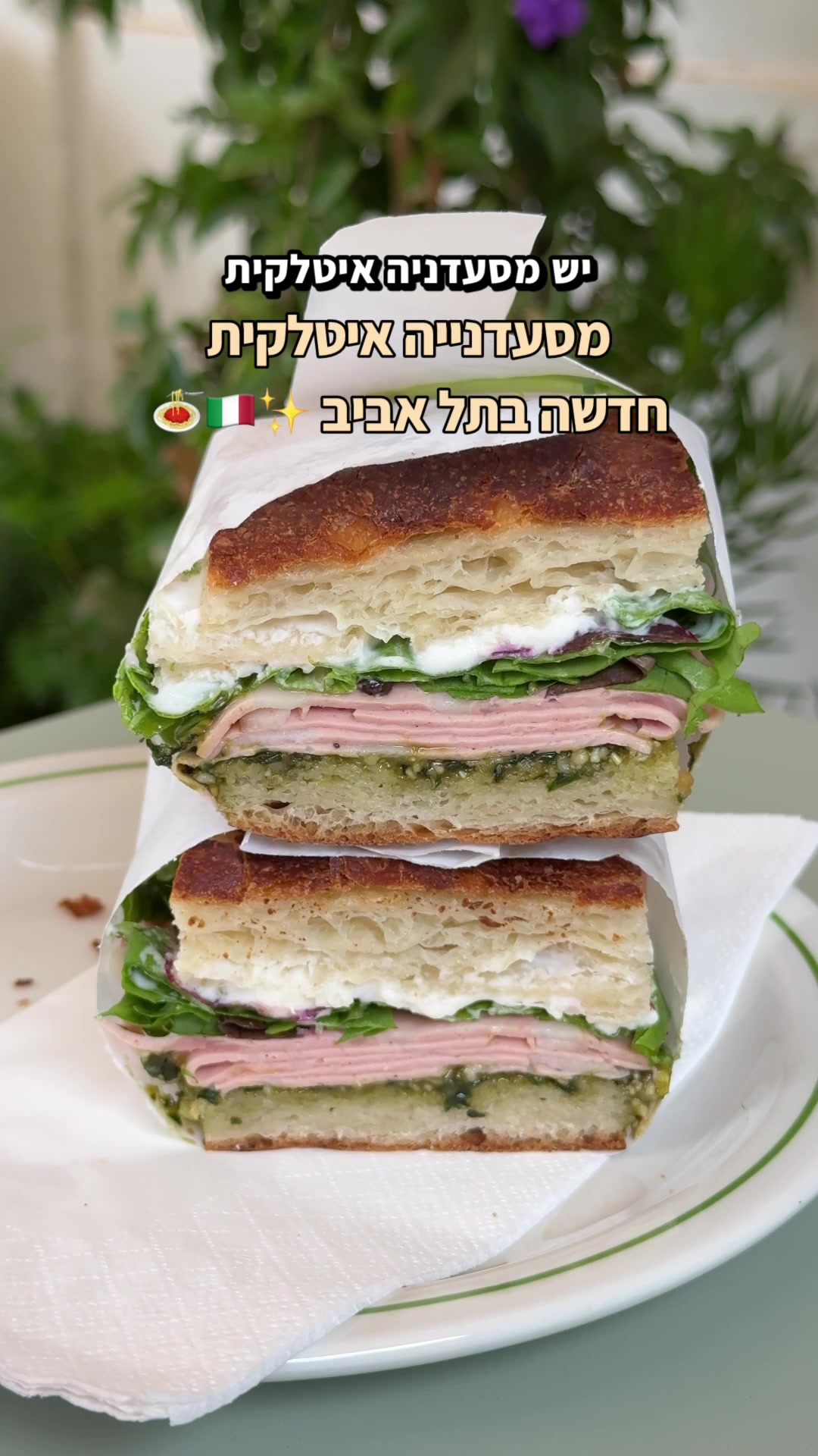 @Netta Slonim