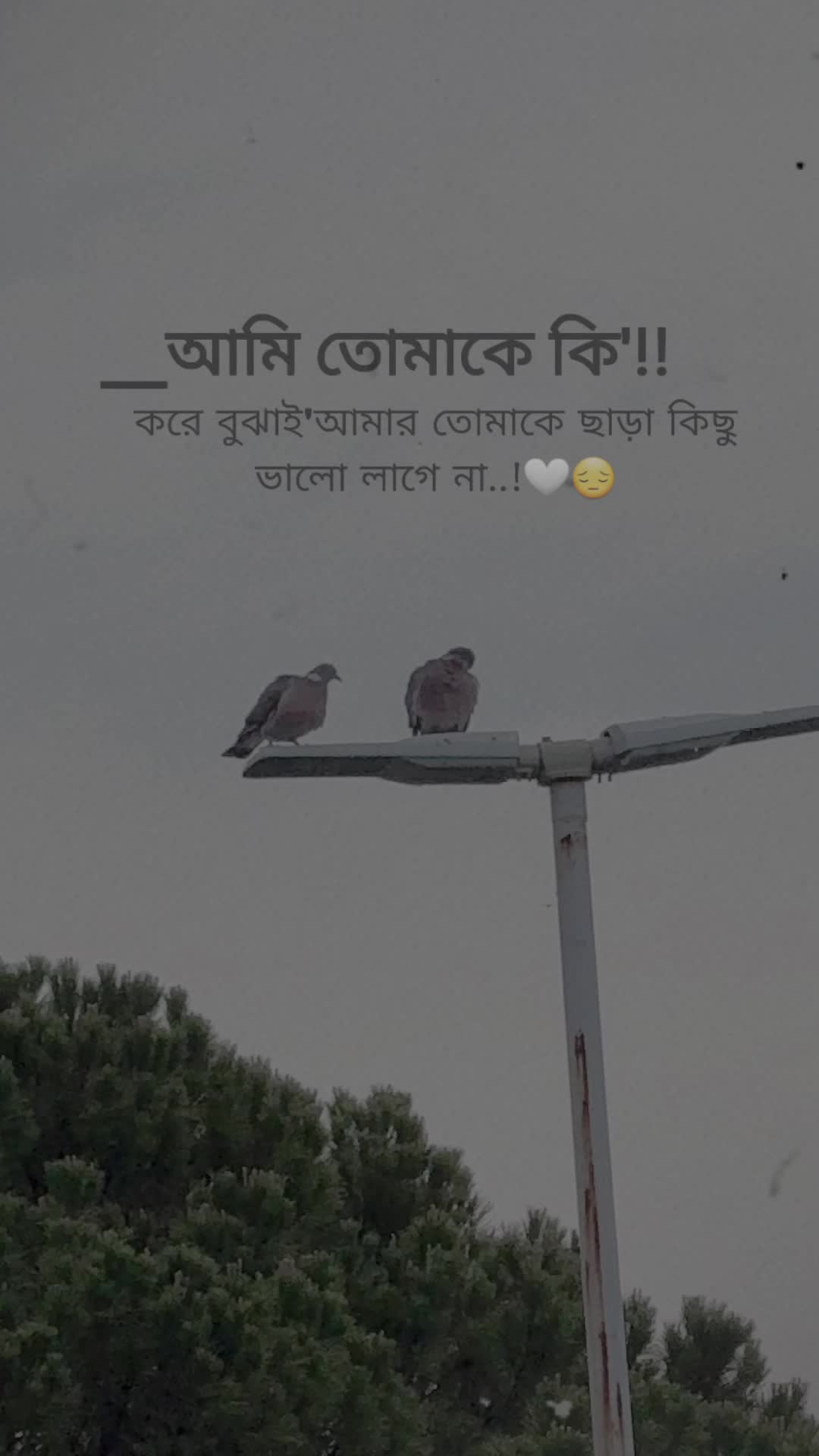 @✌️.Ayan.Ahmed.❌🤫