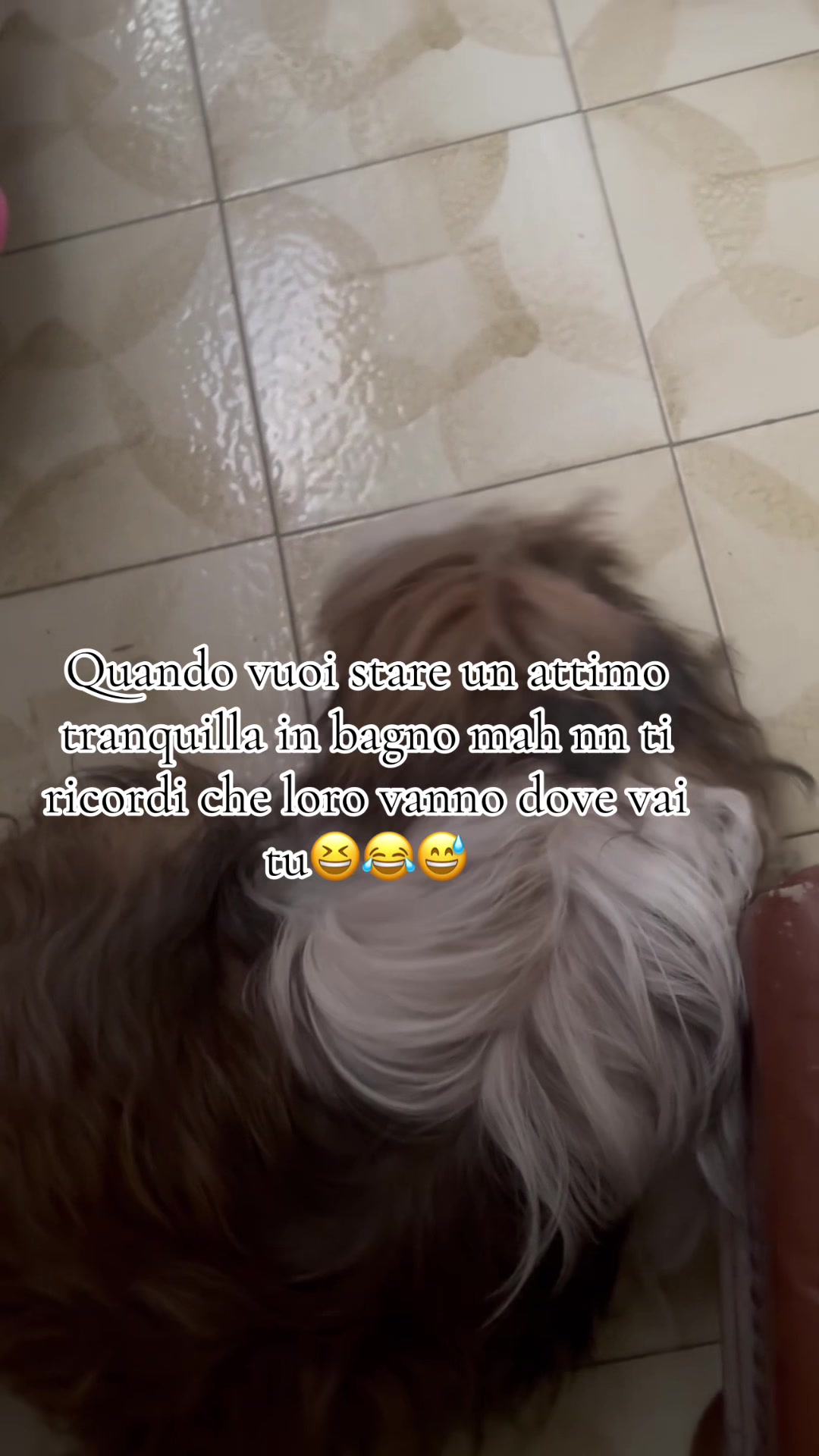 @barbymarco76