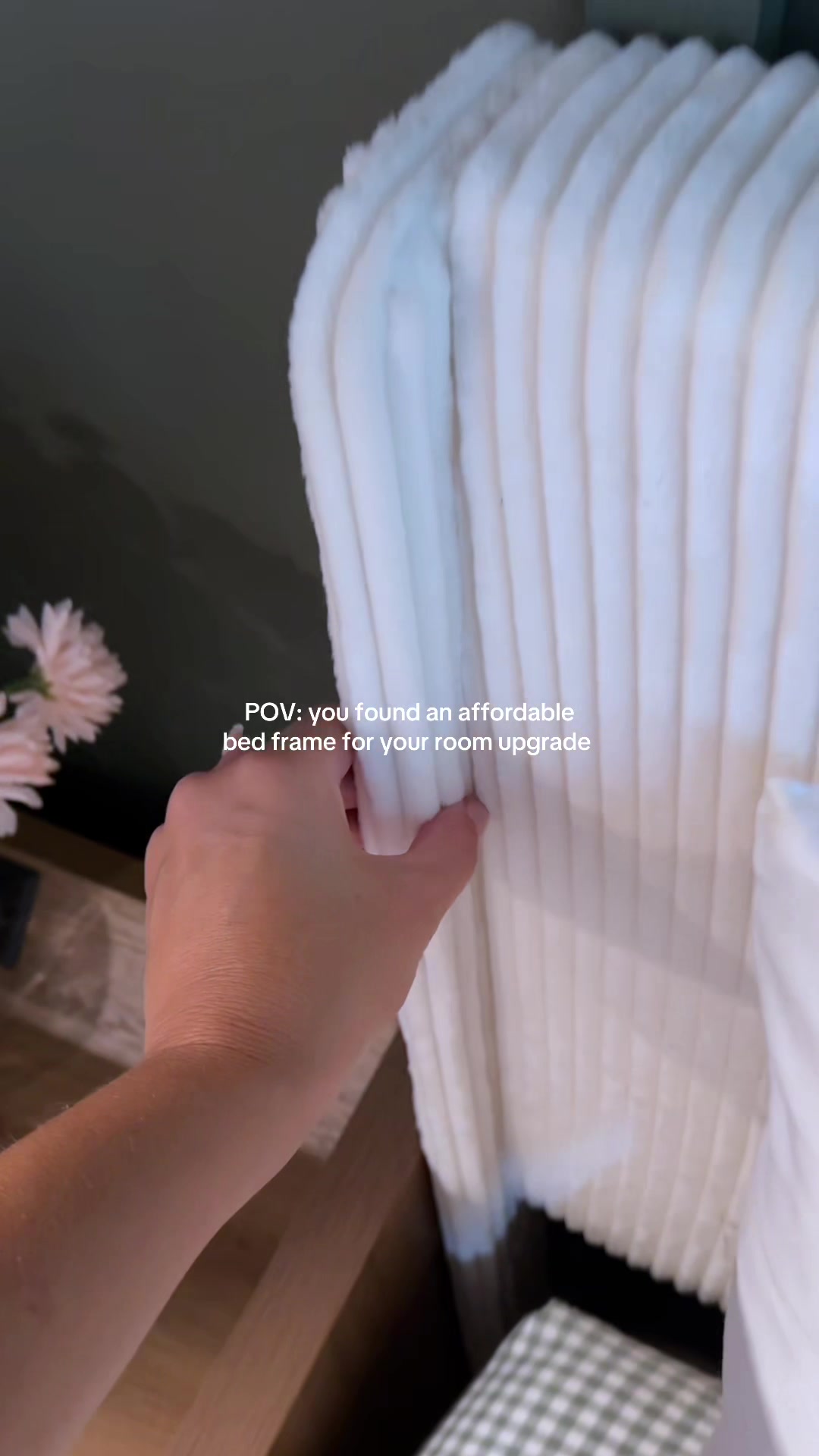 @Josi B🦮