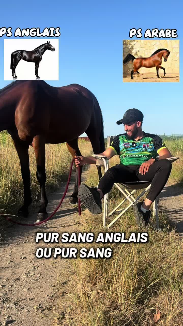 @Alphares44