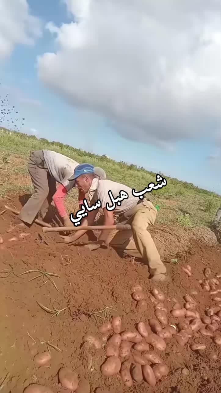 @🐦&zwj;🔥🇩🇿𝕞𝕒𝕪𝕤𝕥𝕣𝕠31🐦&zwj;🔥