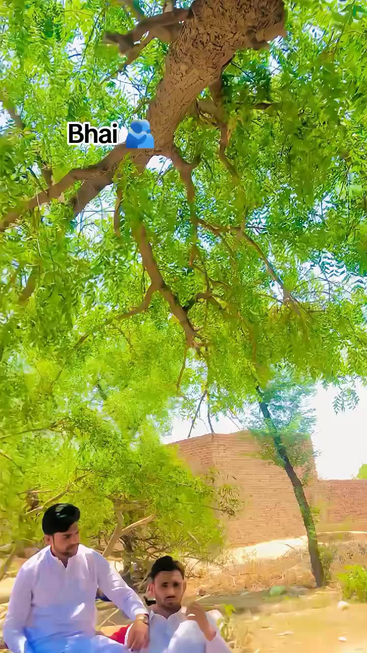 @🦁 رائے سلمان پروکہ RSG 🦁💯🚩