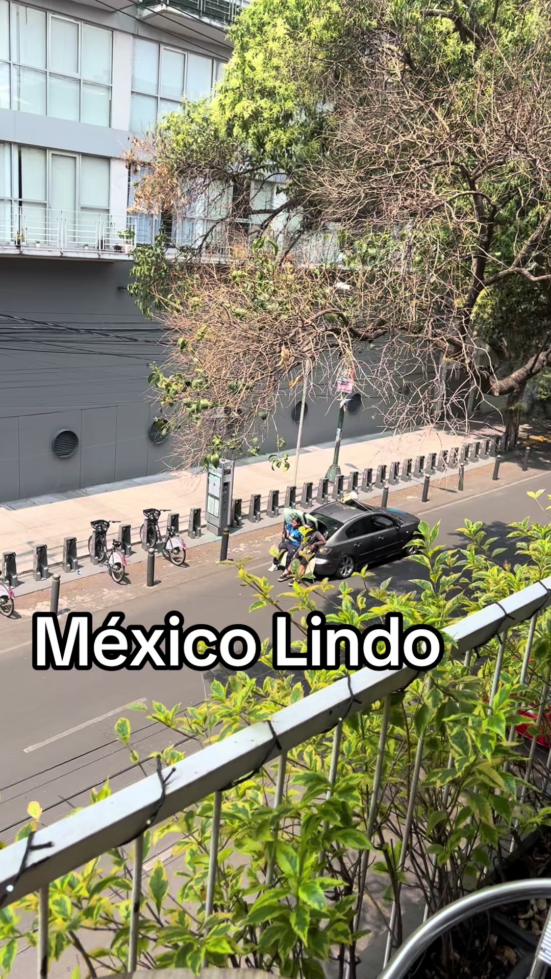 @Oscar Montaño