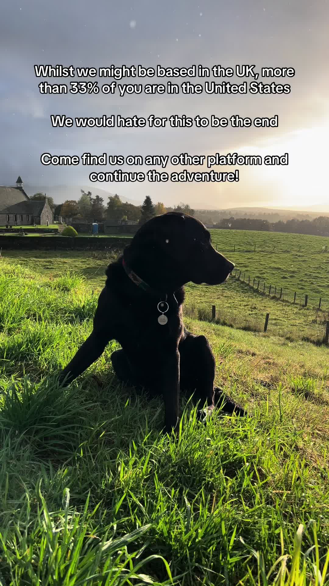 @Denzel The Labraseal