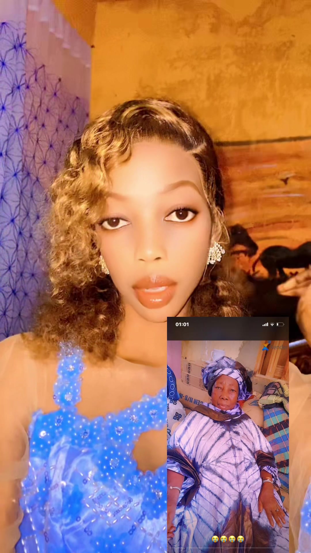 @limammembodj1