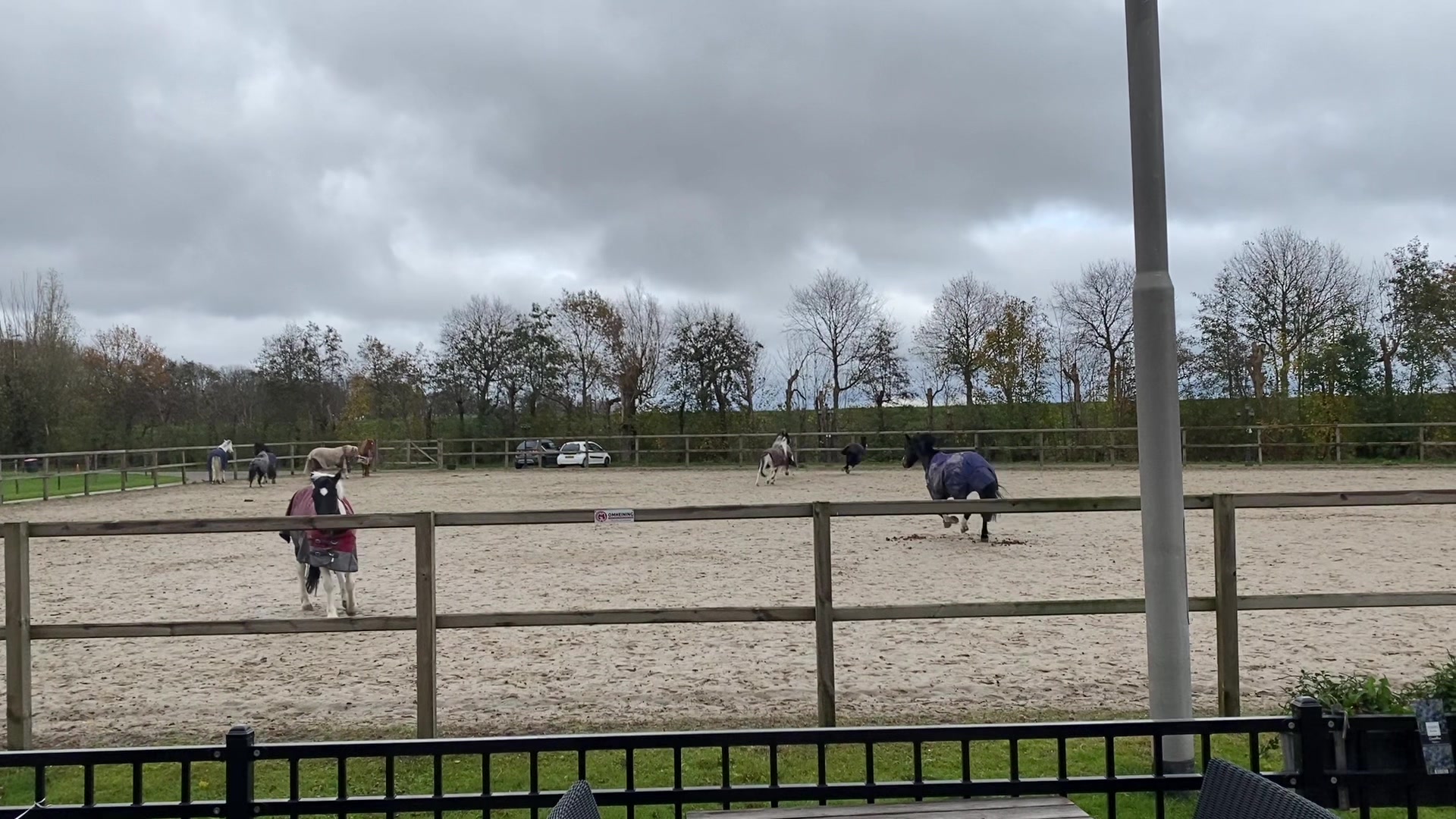 @Hippisch Centrum Dordrecht