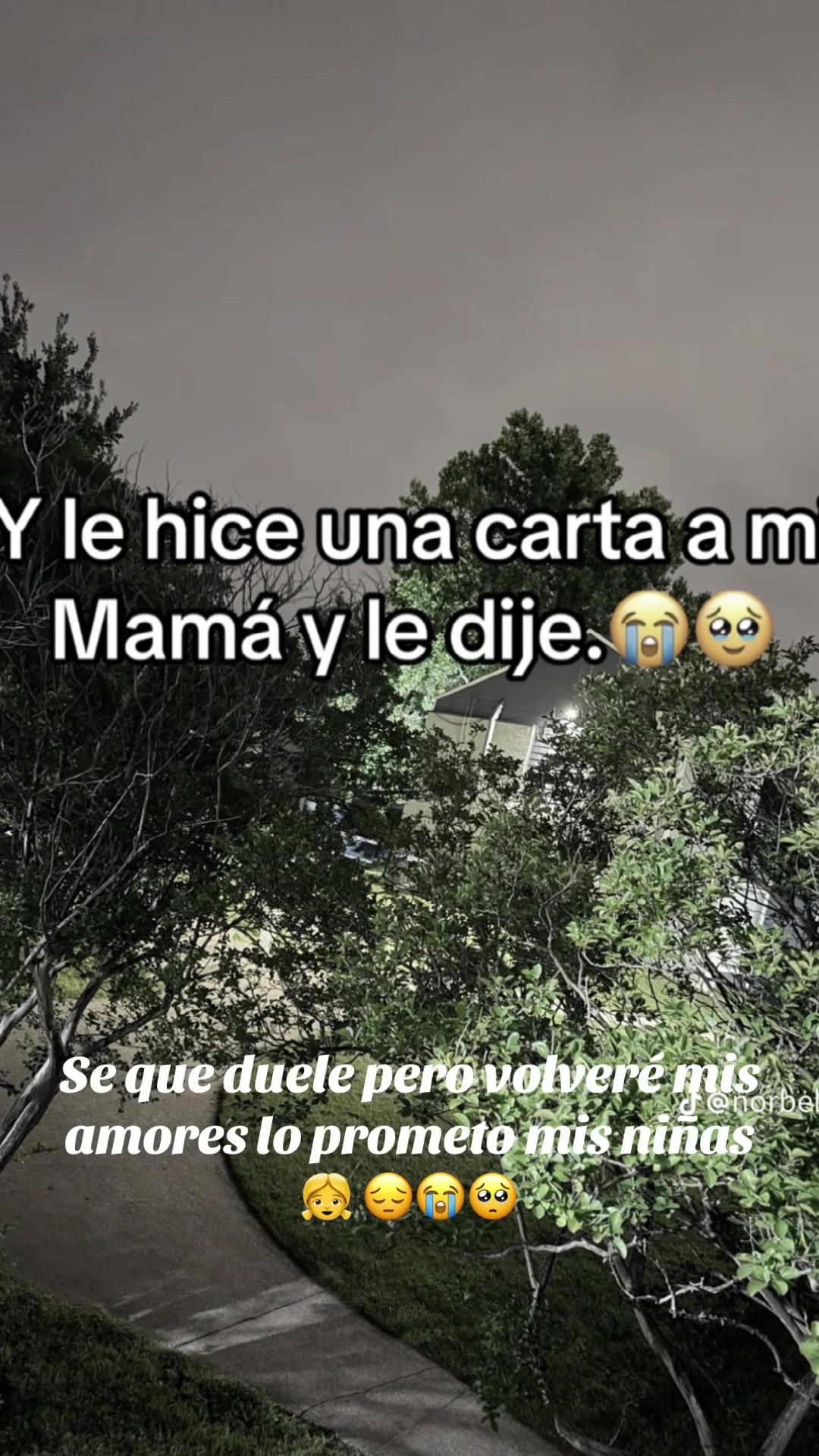 @Dalia Tlaczani