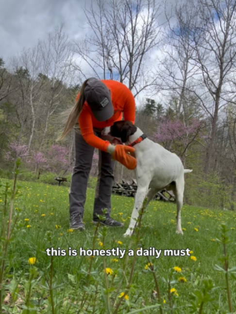 @TiCK MiTT