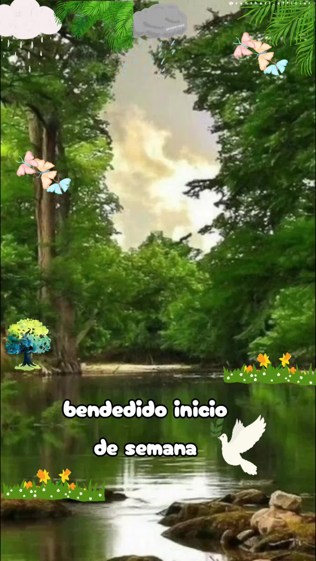 @marianar.731