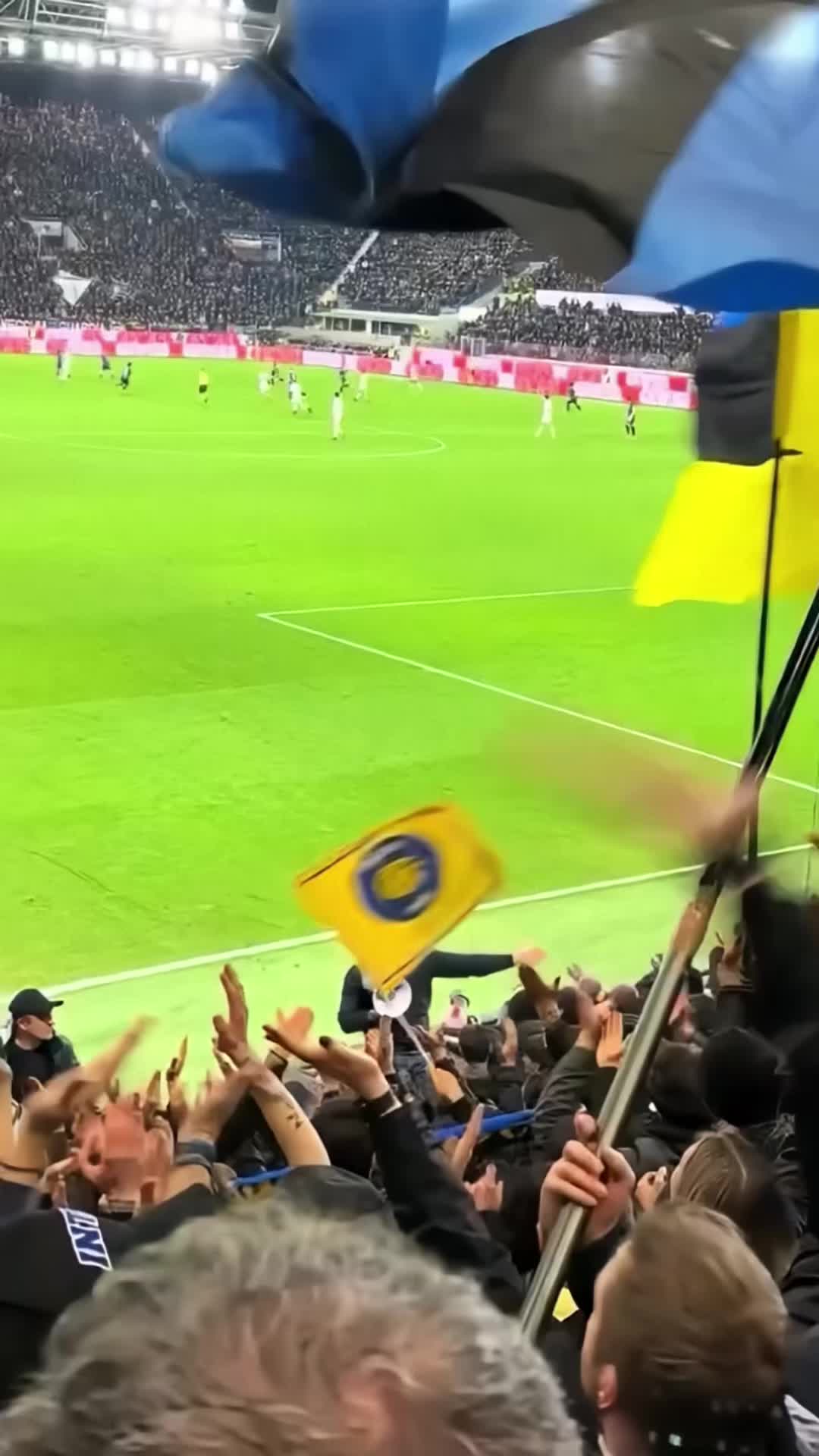 @rino.fcim