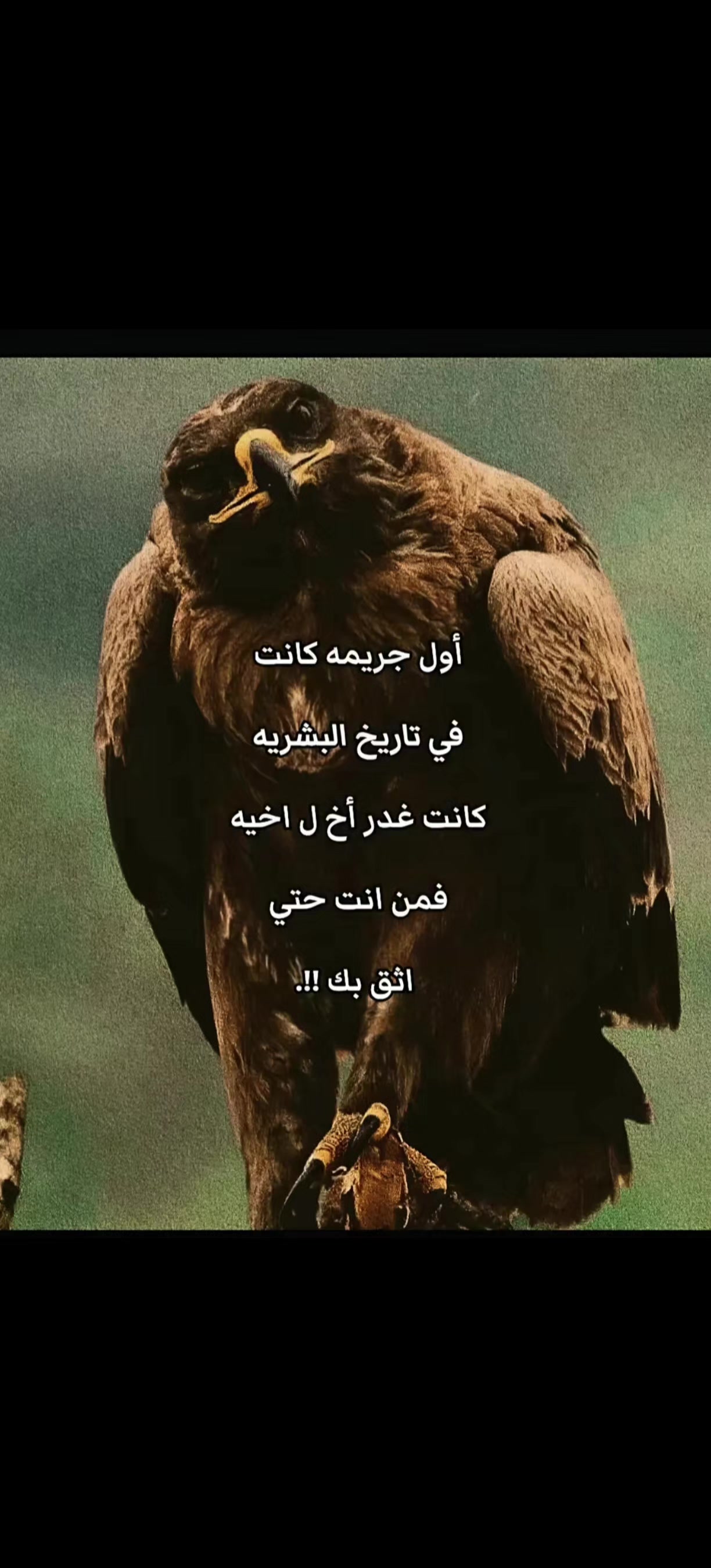 @.♡𝙀𝙡 𝙕𝙊𝙊𝙕🦅🖤☽︎ زَيّـآدُ