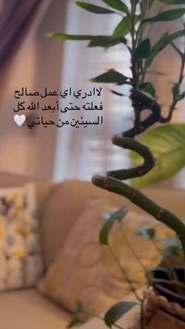 @𝑺𝒆𝒅𝒓𝒂 𝒕𝒂𝒓𝒂𝒌𝒋𝒊 𐙚