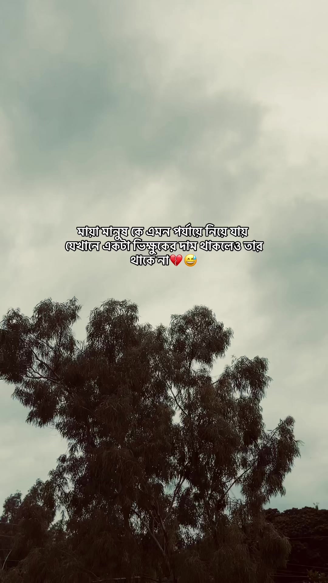 @S i F a T đ¸ī¸đī¸