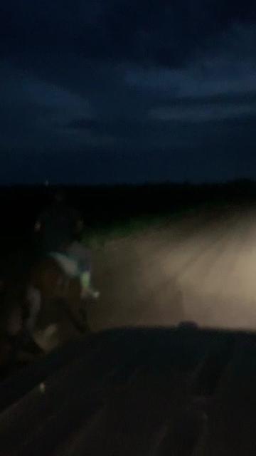 @MrRussellFarms🐴🐴🐴