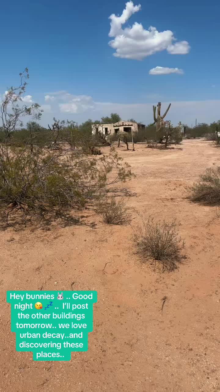 @Bunnytakesnotes1111