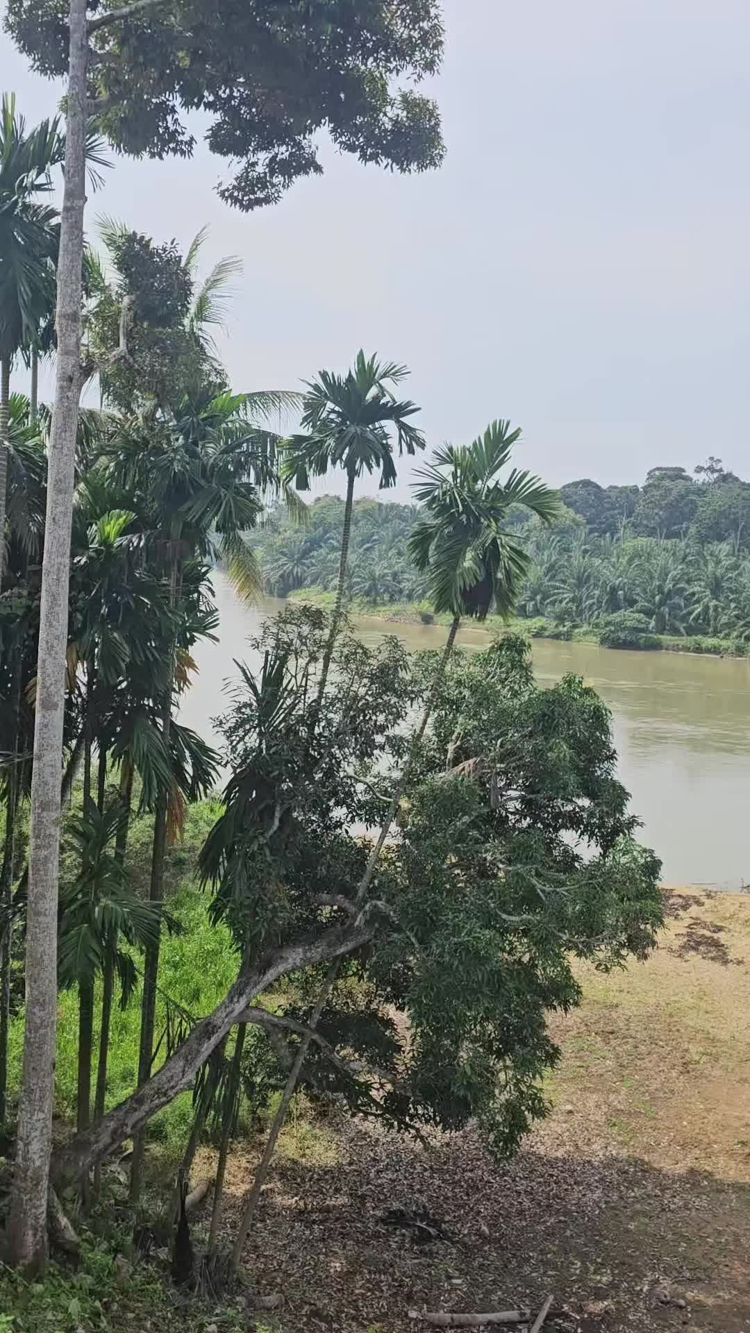 @AyuMasayu Kalamudin