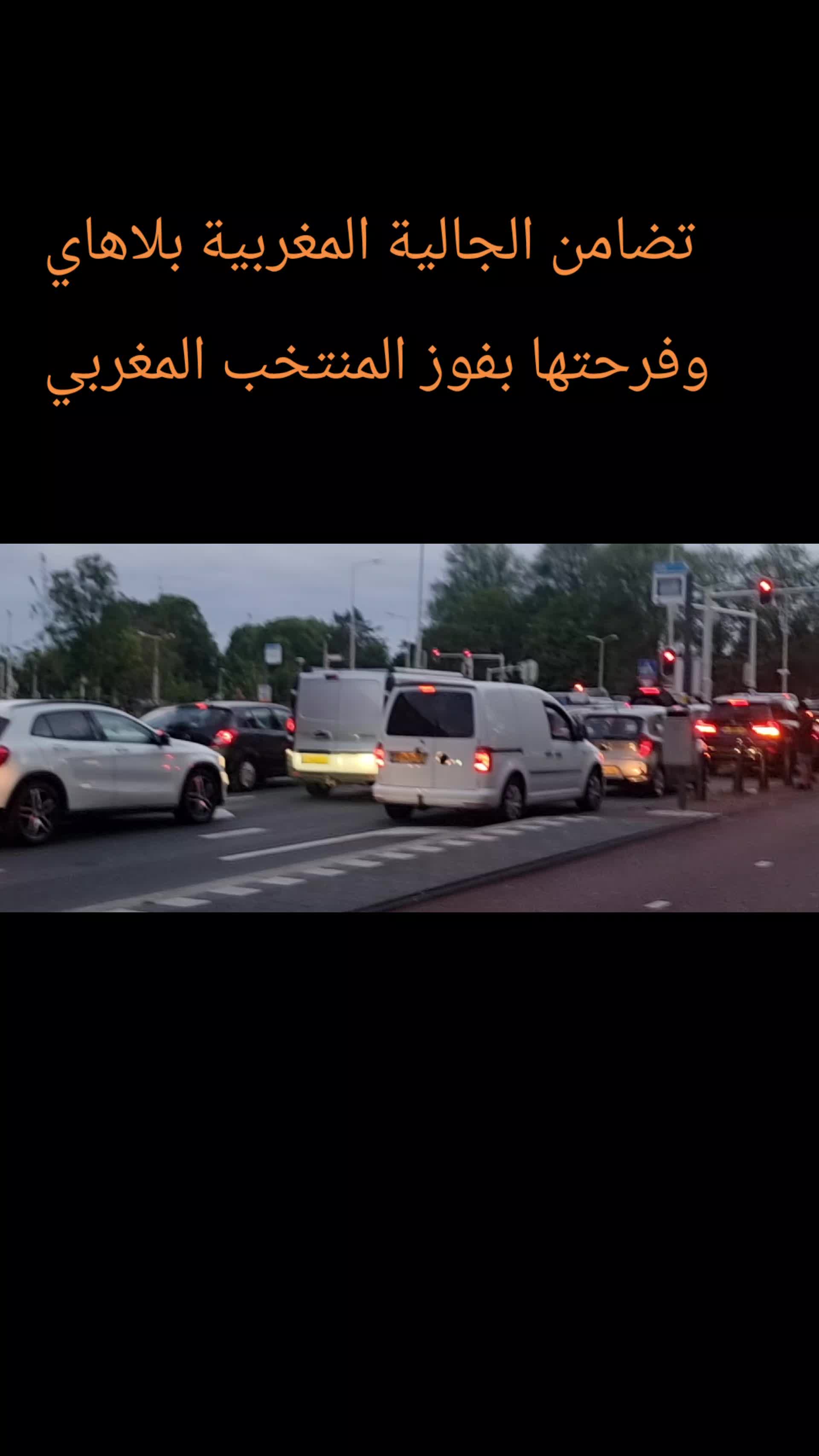 @حميد نشاط