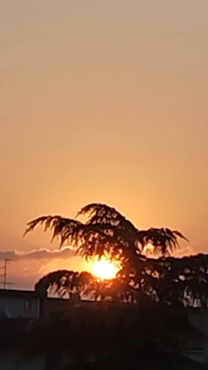 @danielelarocca615roma