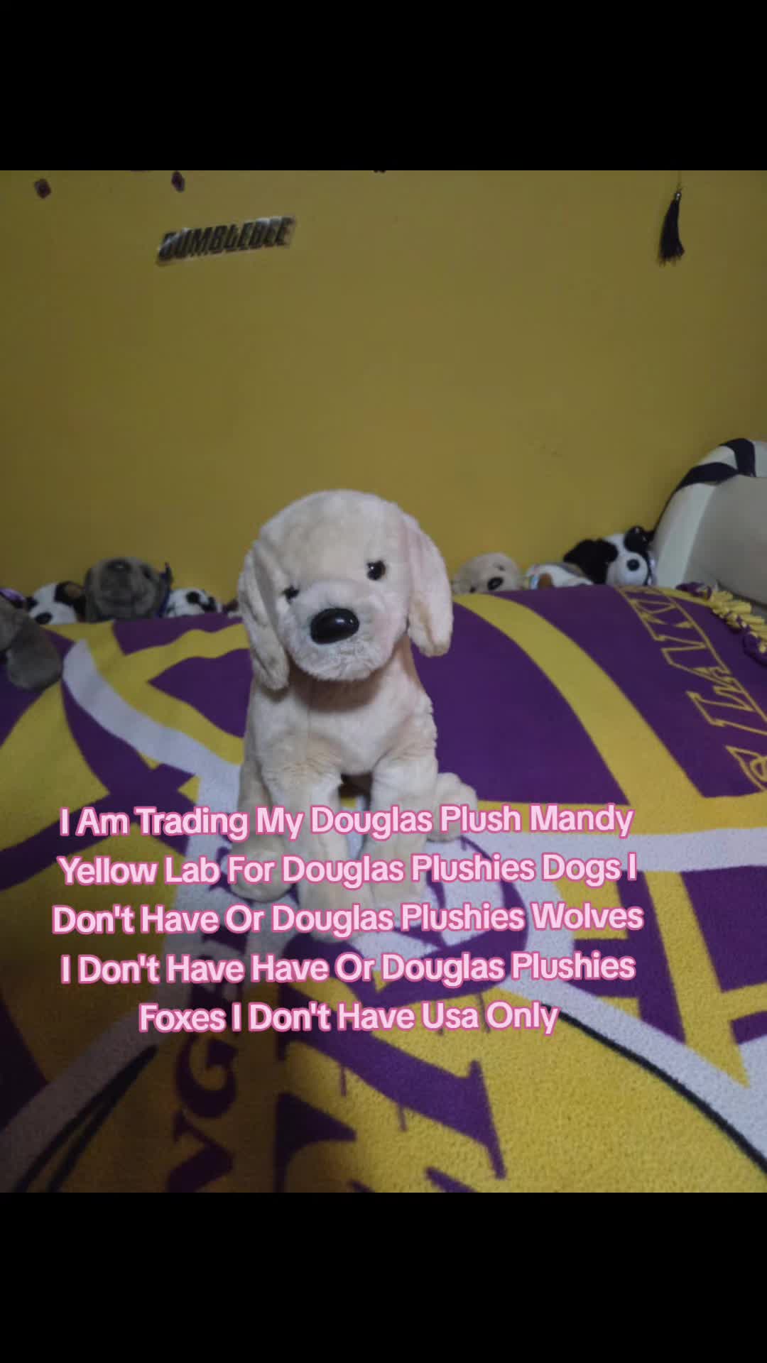 @🪽🐕🏀IsabellaandDino🧁🎀🐾