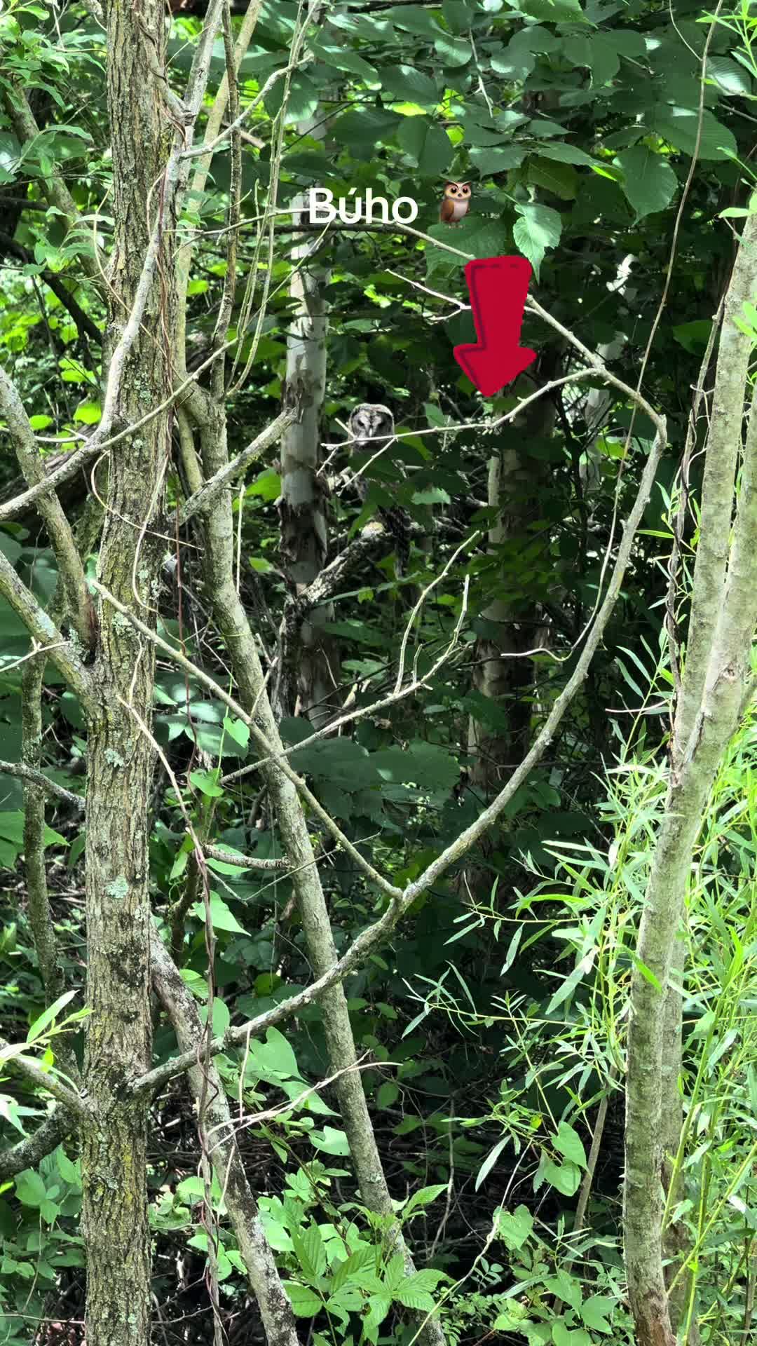 @Carlos GT Videos 🛣️🧗🌲