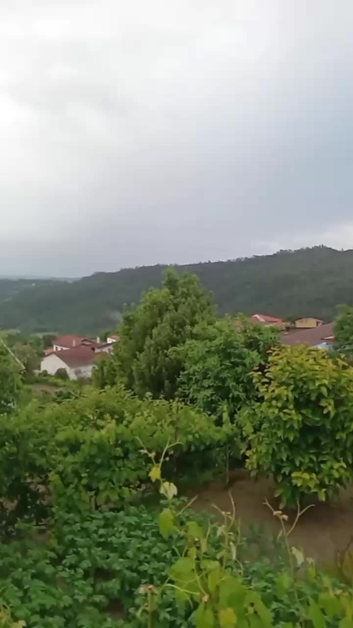 @🦅