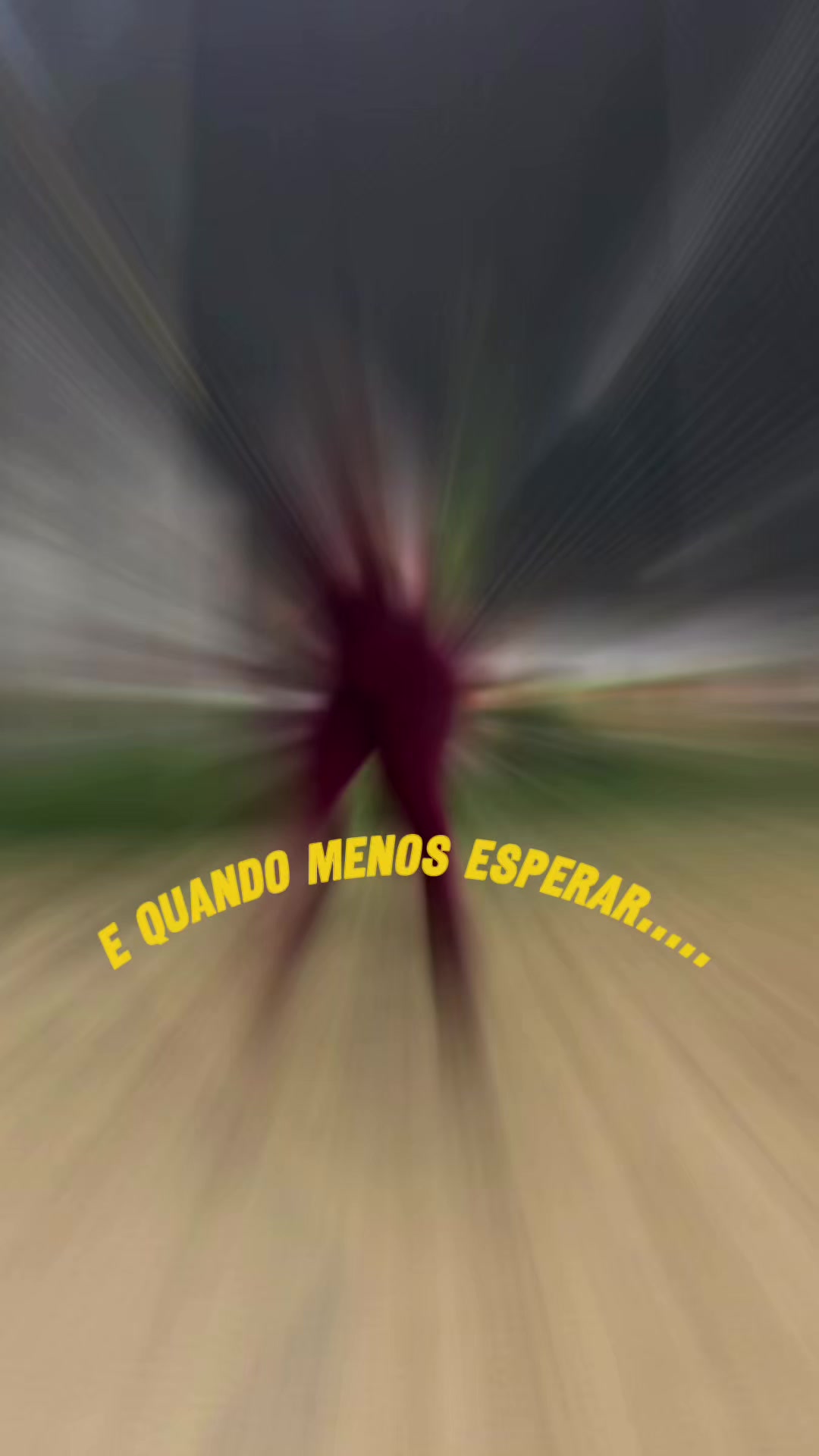 @Caroline Aguiar