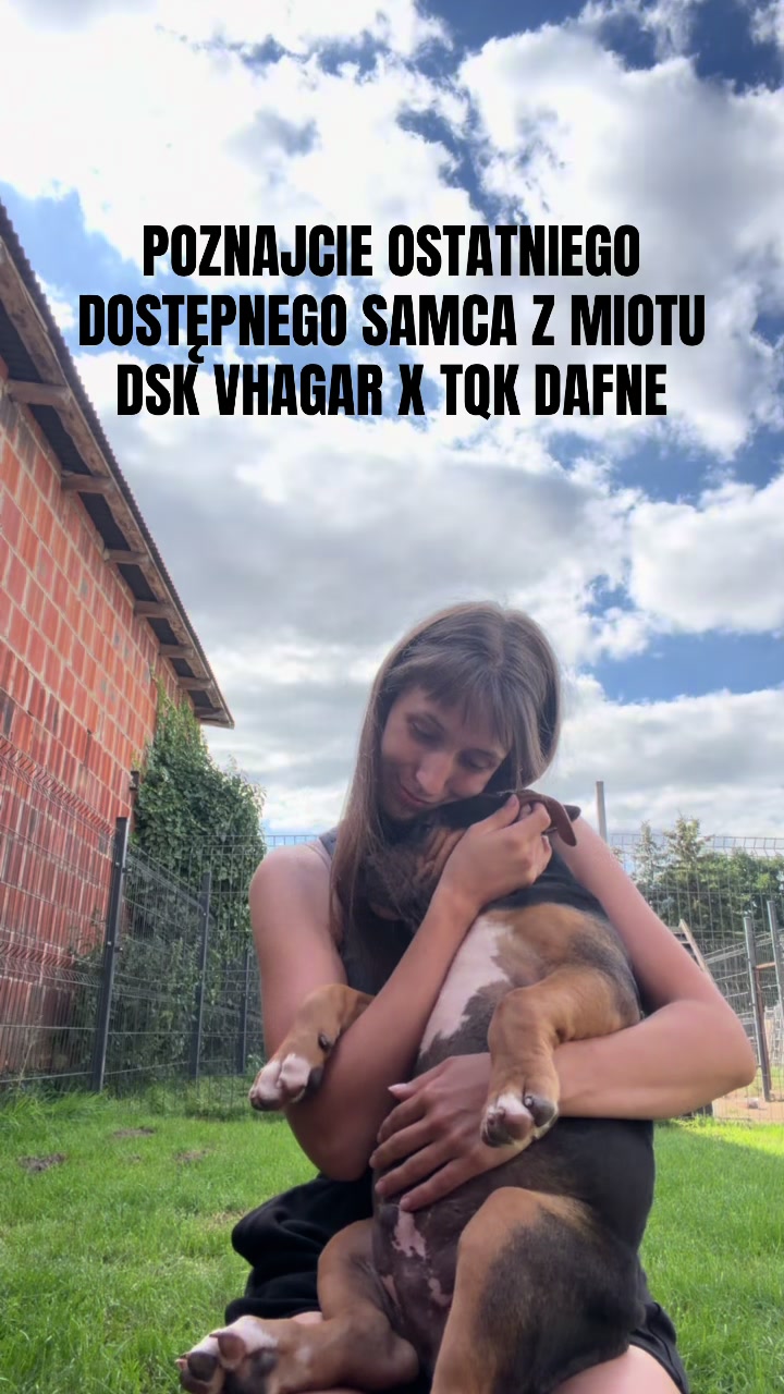 @TopQualityBullyKennel