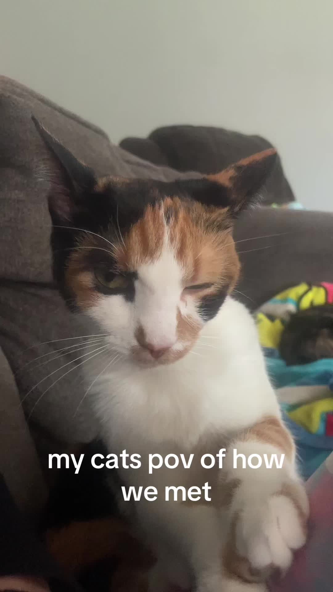@😻