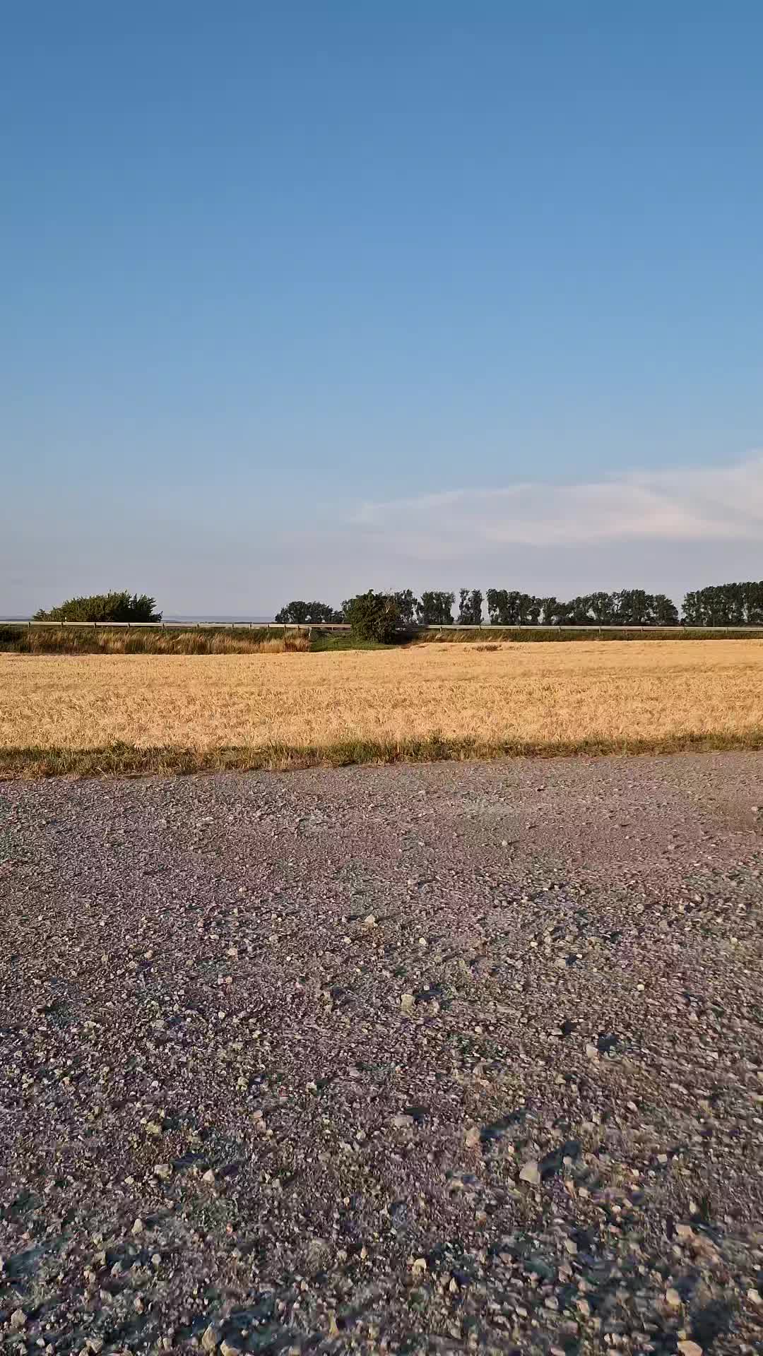 @v8lars75