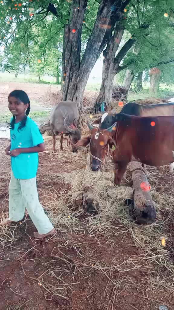 @URaju Reddy