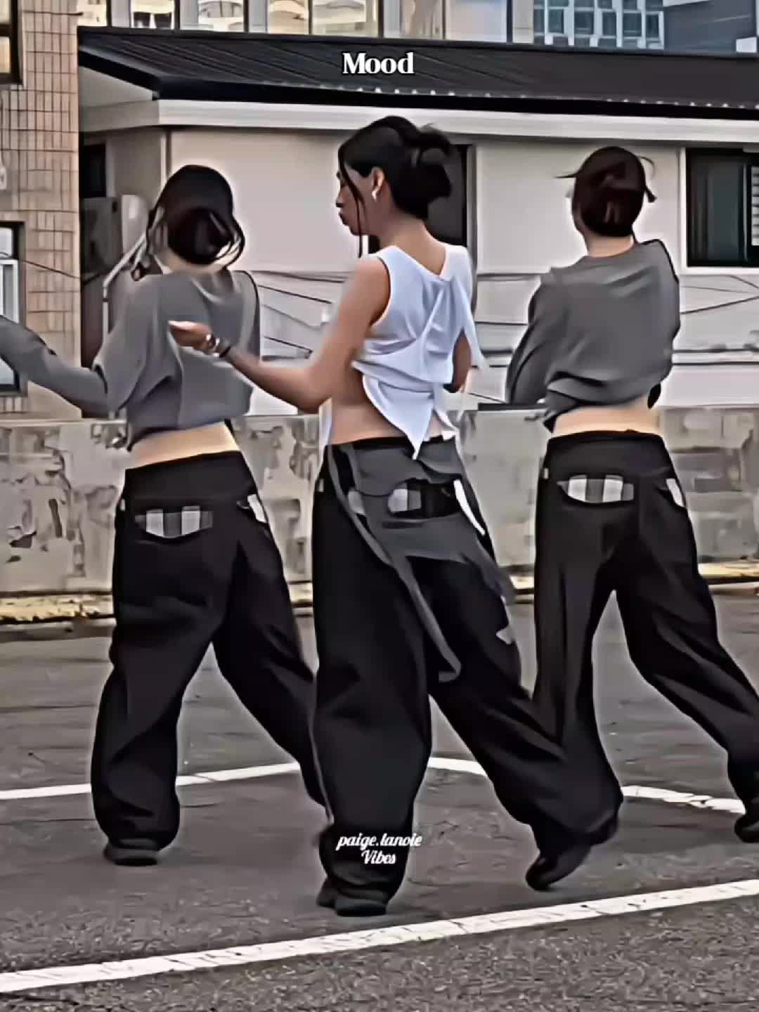 @paigelanoievibes