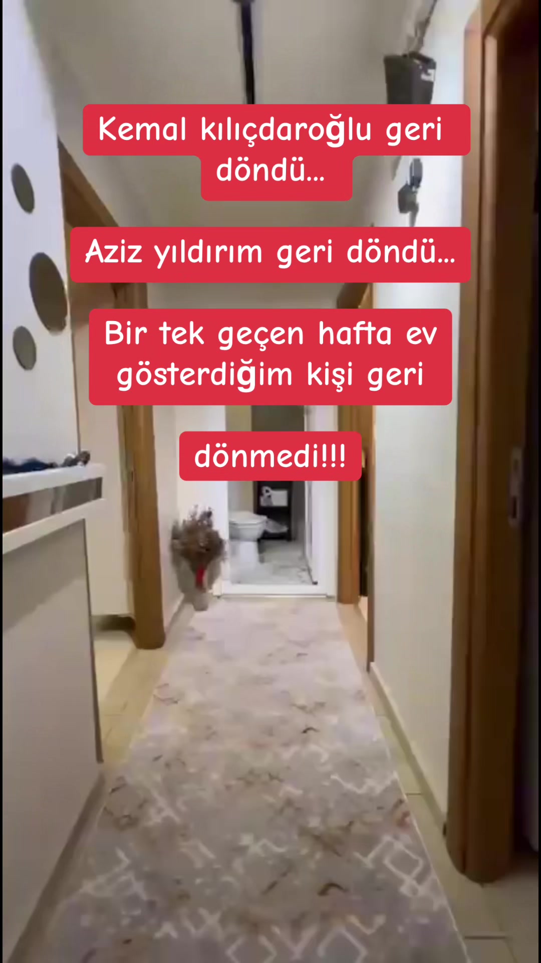 @KELEPİR DAİRE DEPOSU