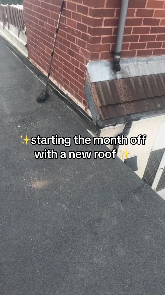 @Dani B