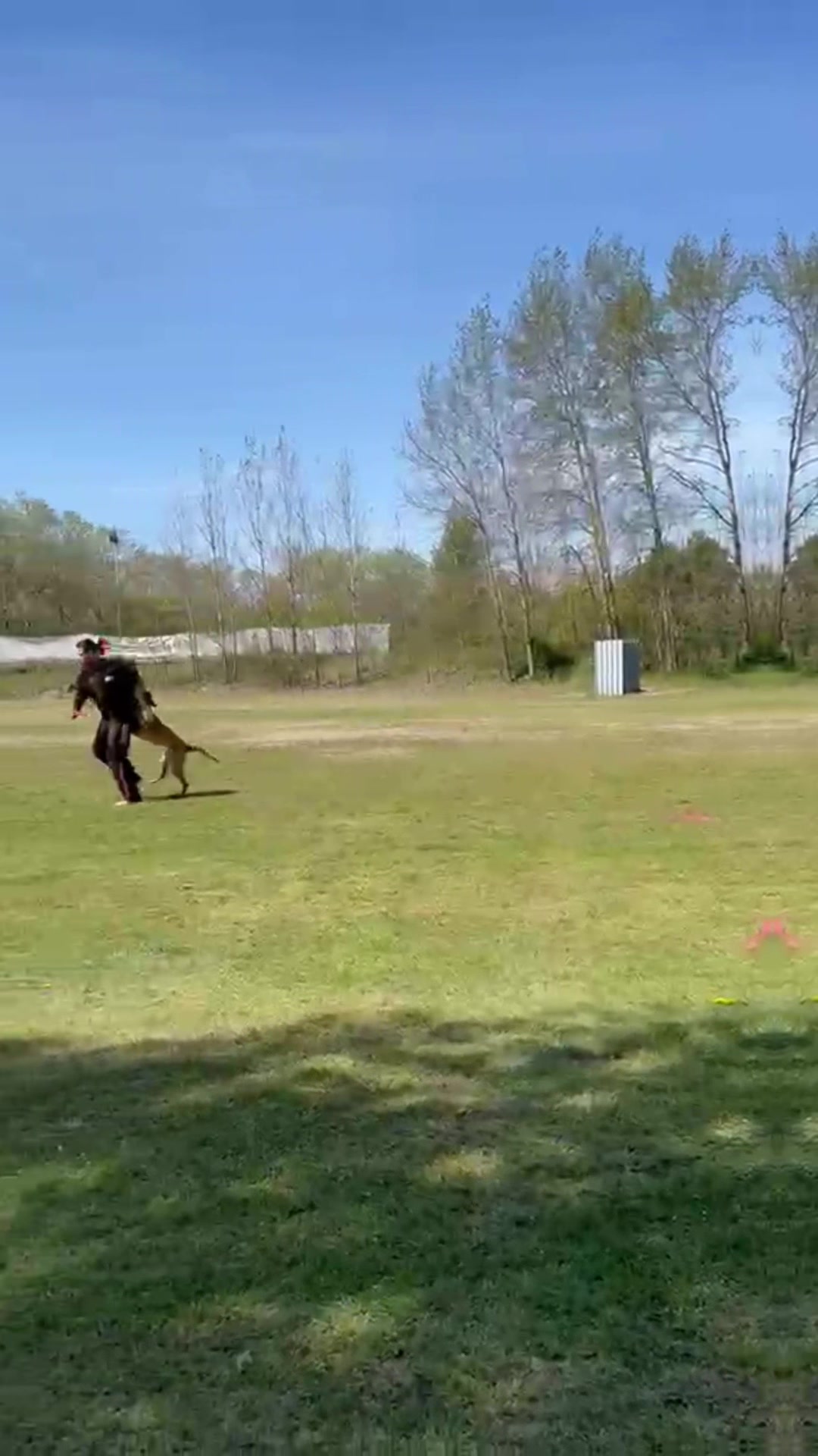 @Jasi&Tobi Dogsport