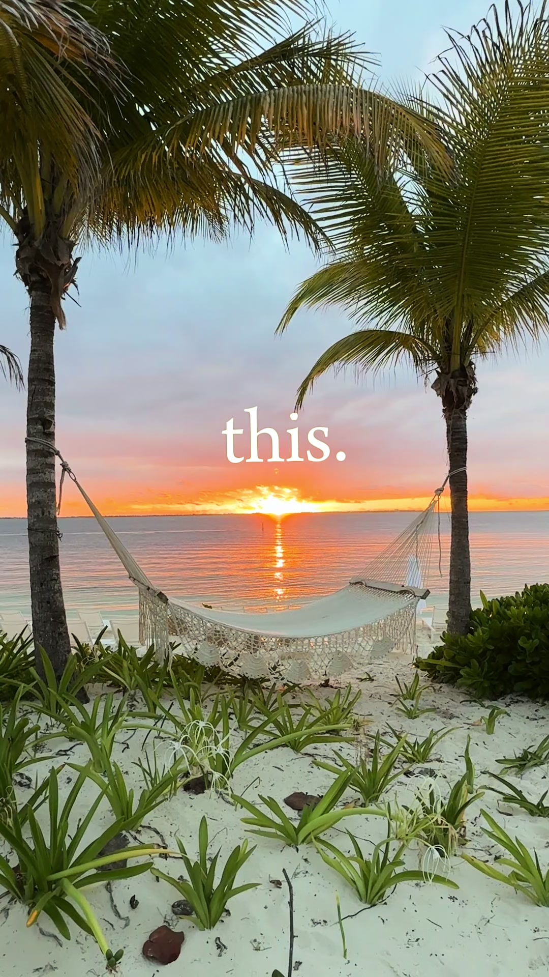 @Darla | Destinations by Darla