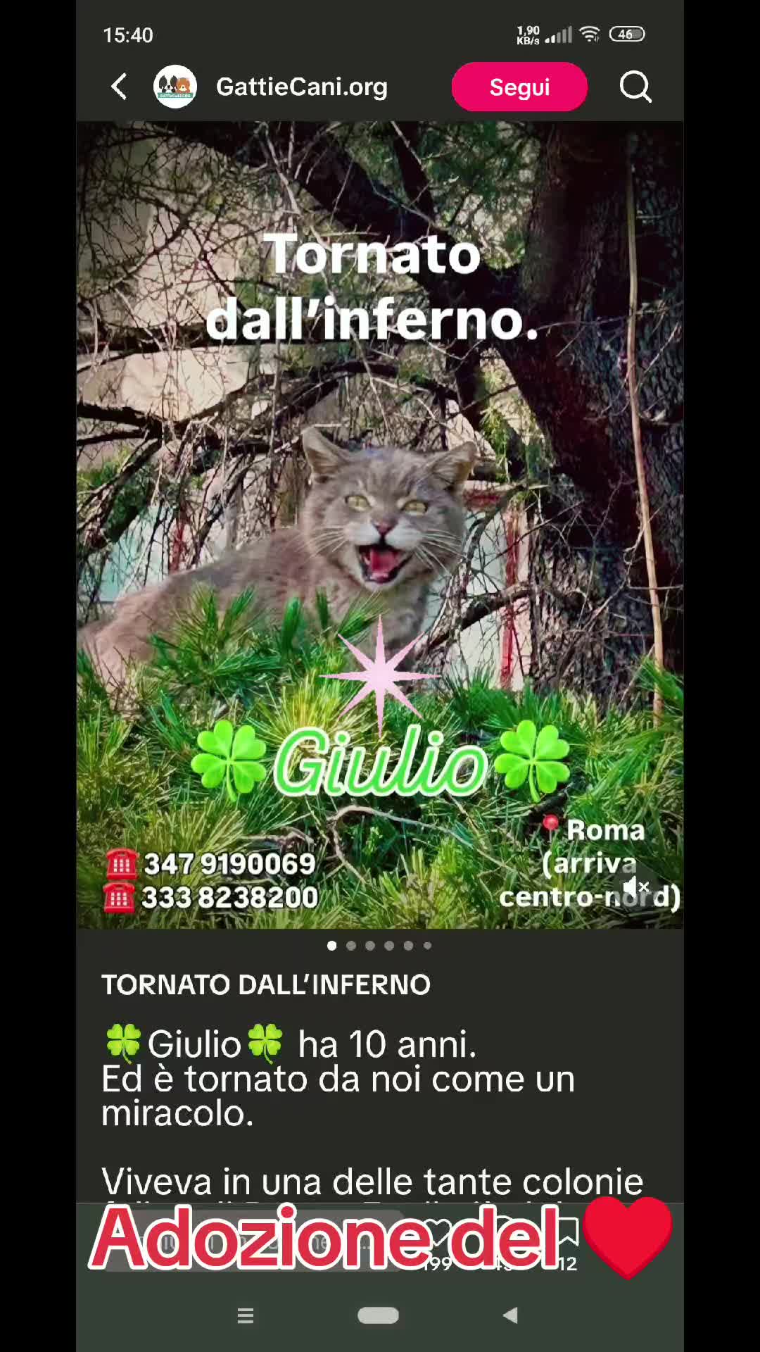 @VENNE DAL FREDDO 🥶