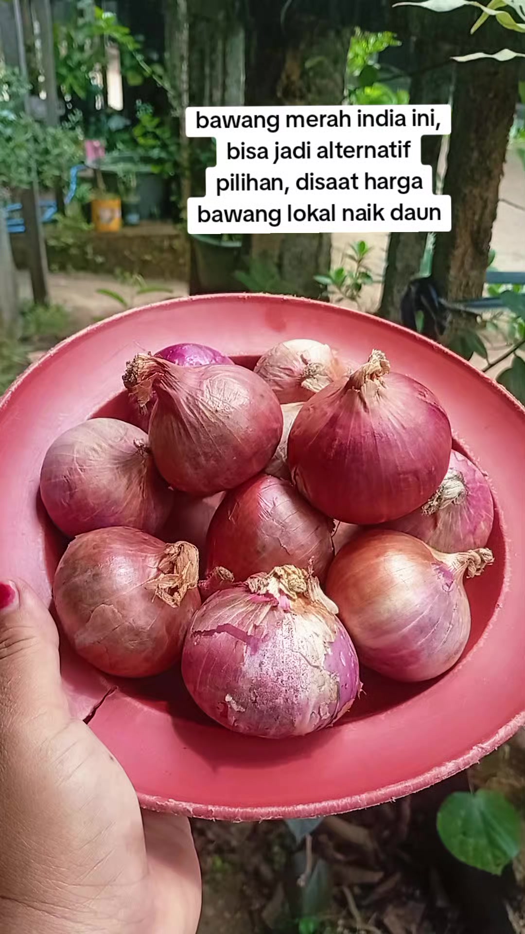 @risallahhati999