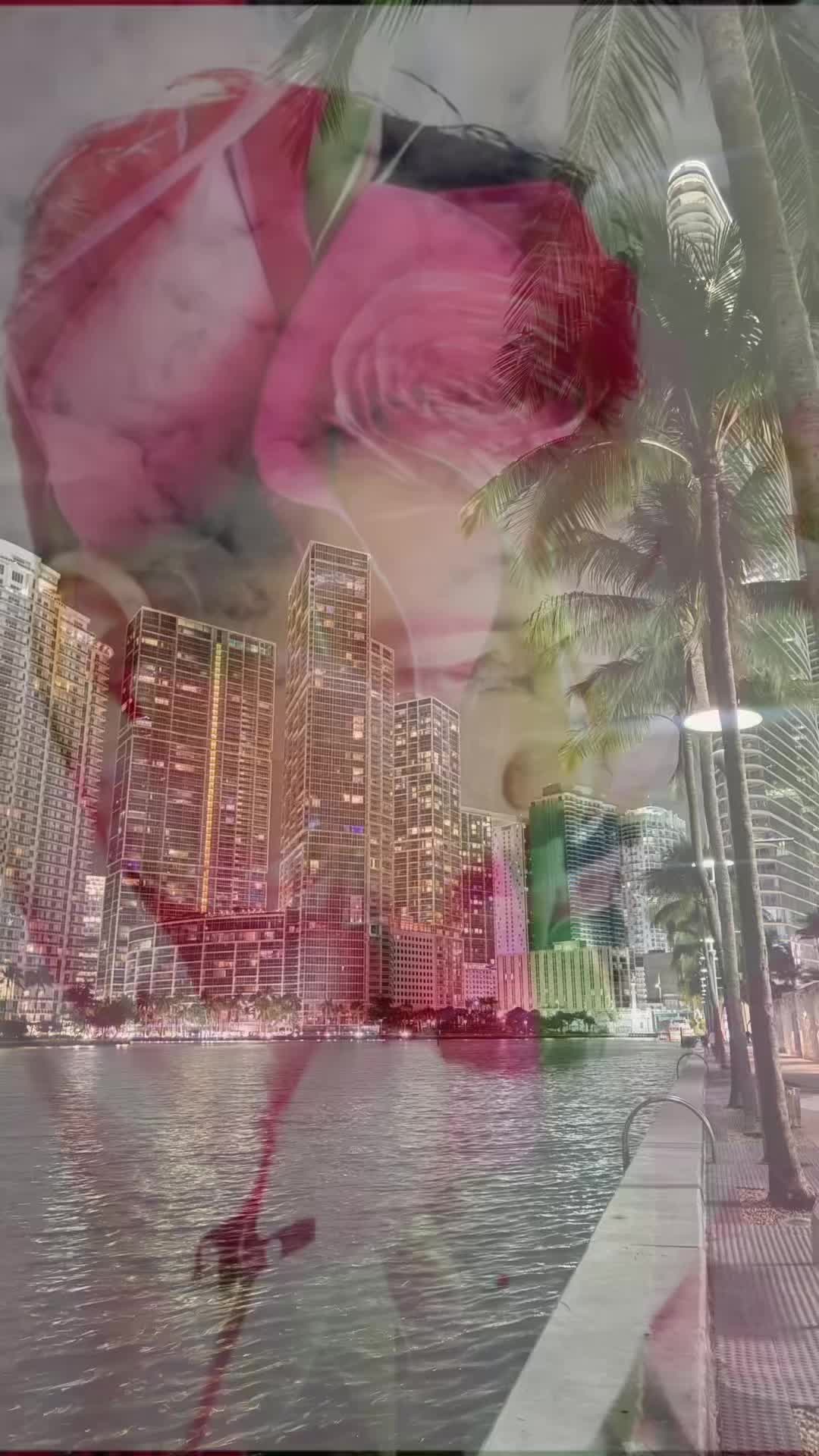 @Diane🦋