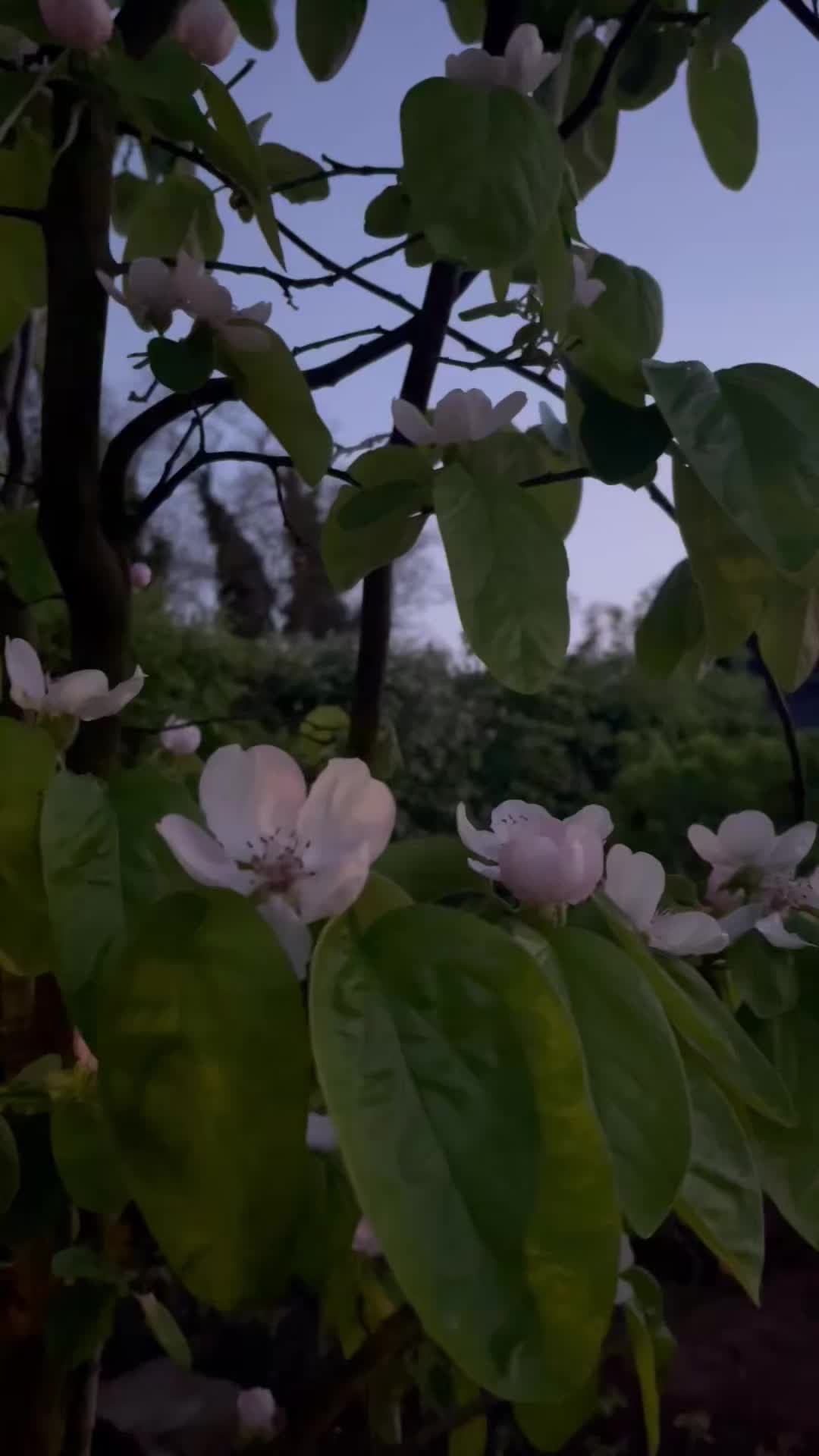 @user3306478932