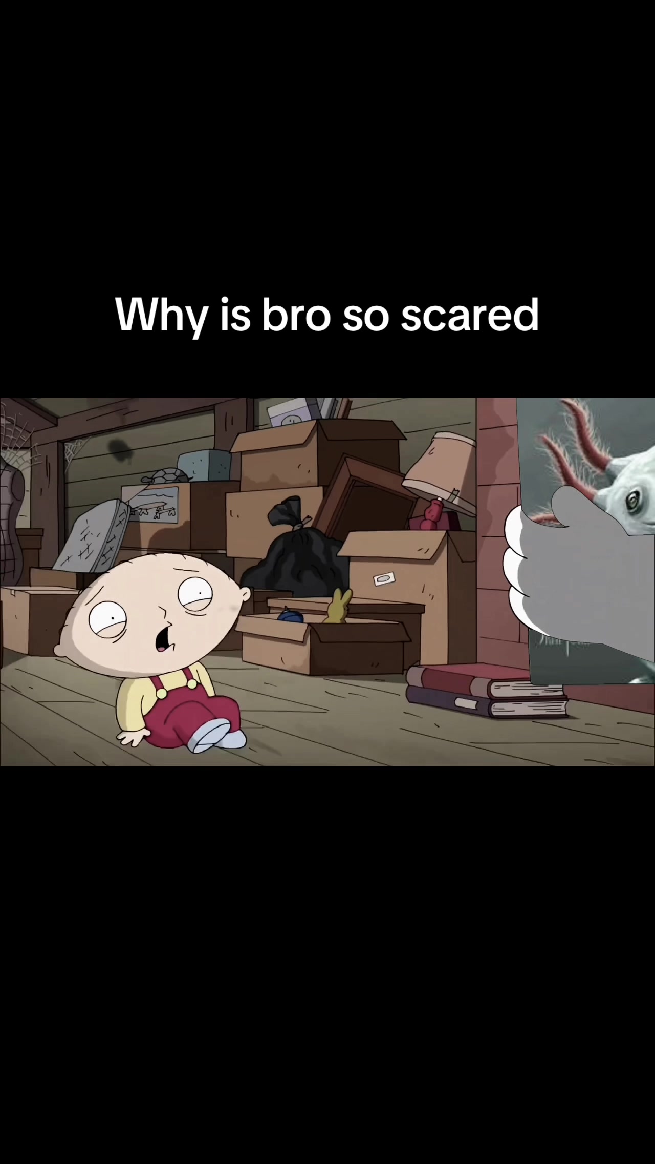 @Wooper_gang