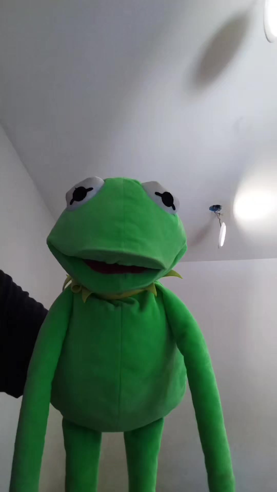 @Kermit The Frog Tiktok