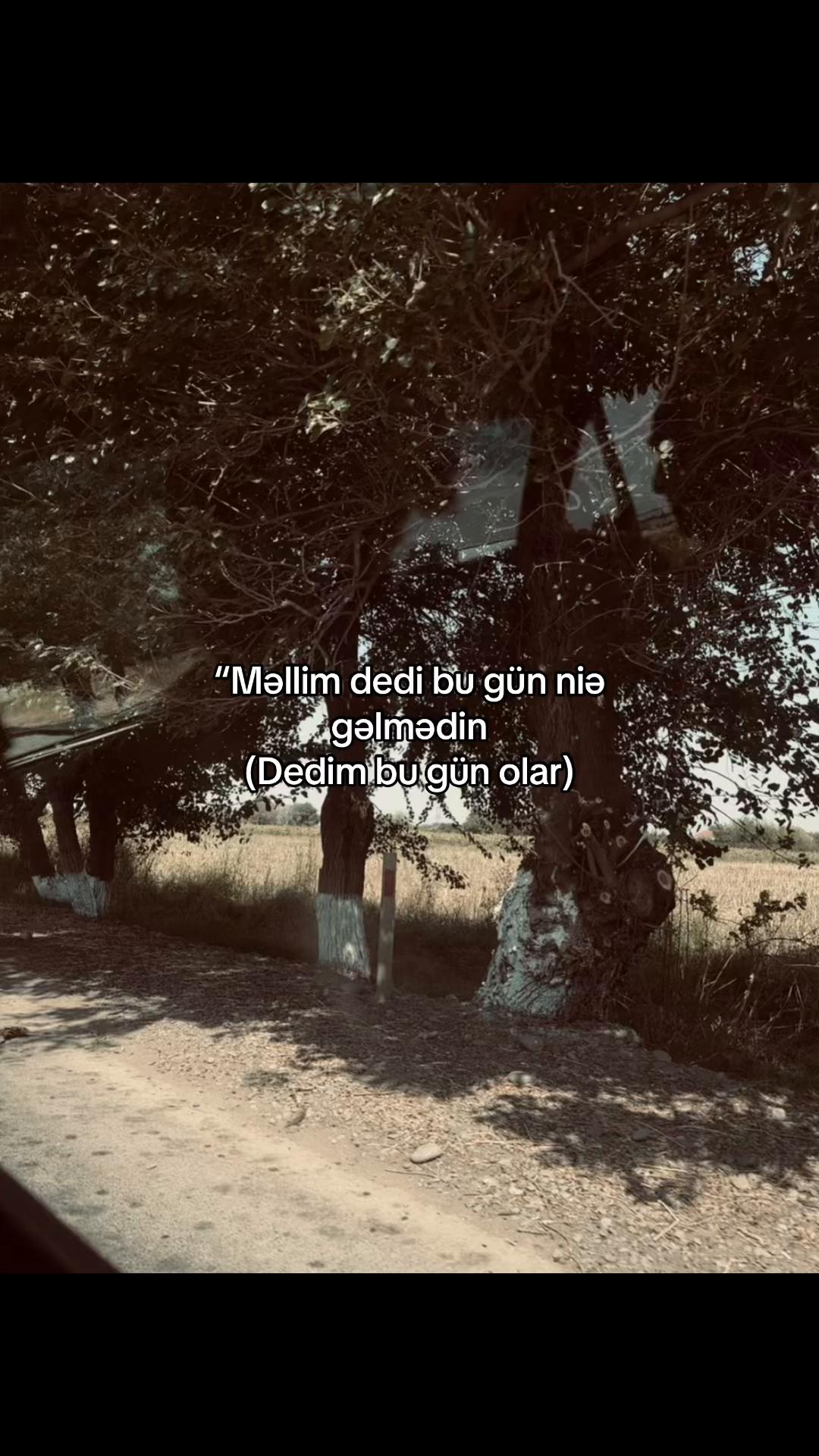 @Abdullayews⚡️