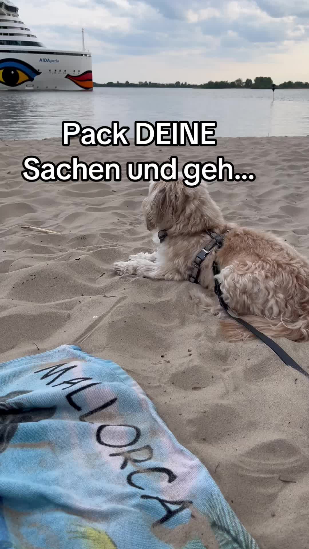 @DogMilow