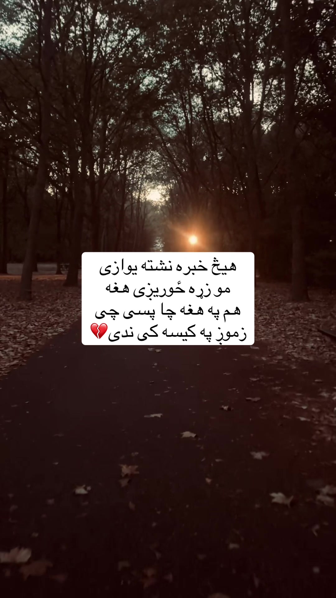 @🗿دامپراطور ورور🗿