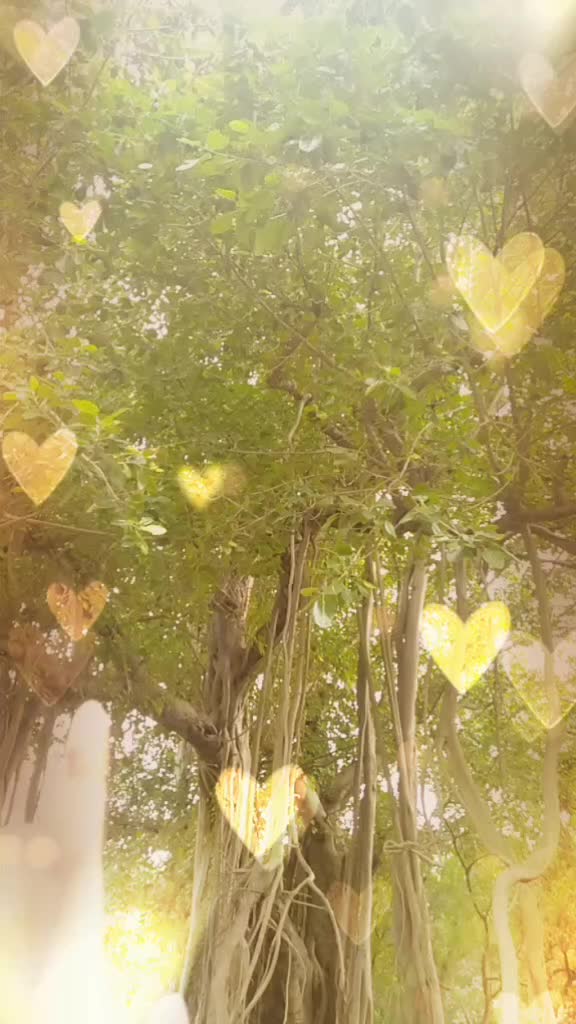 @💘💘💔💔💔