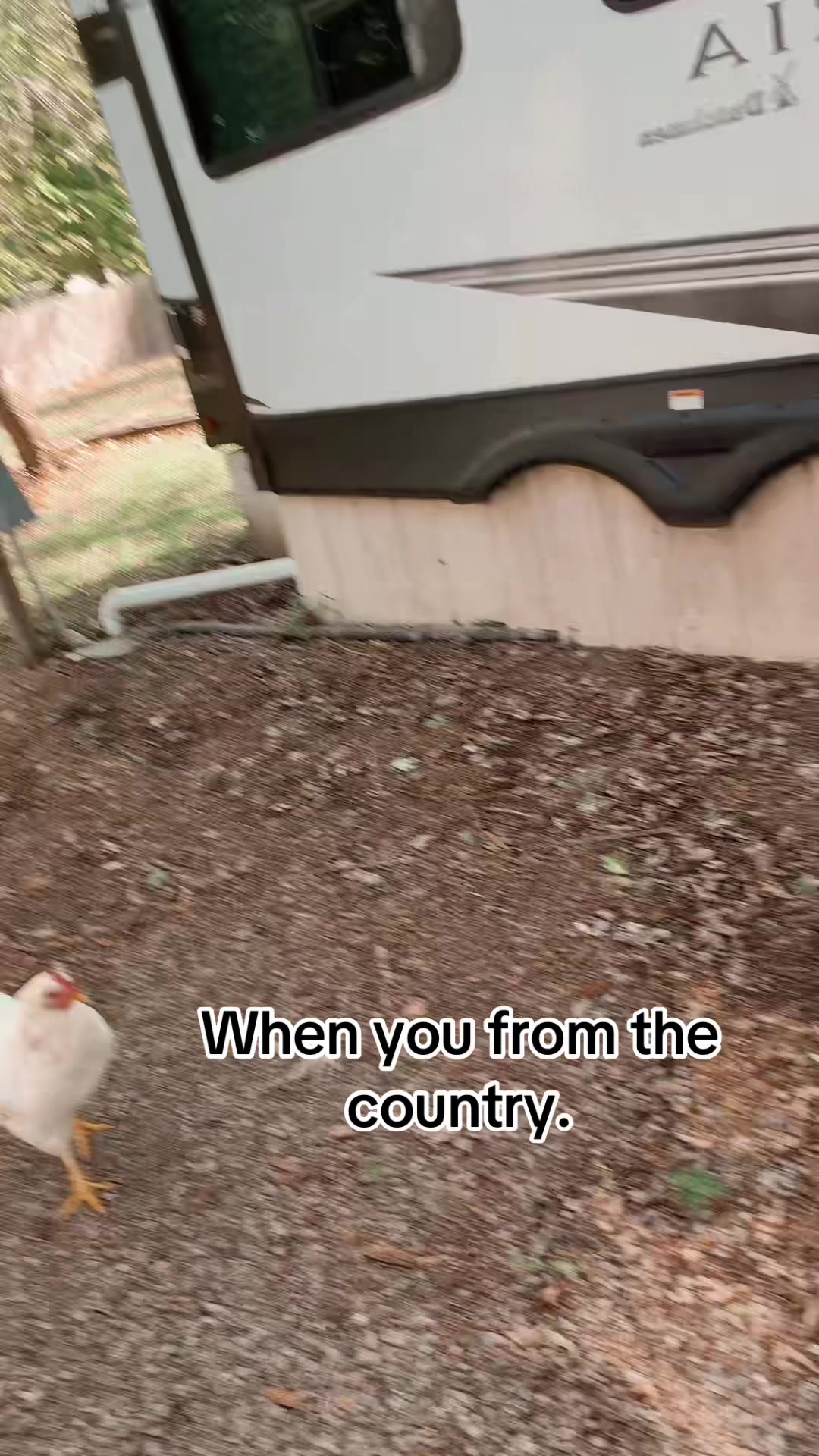 @Joseph