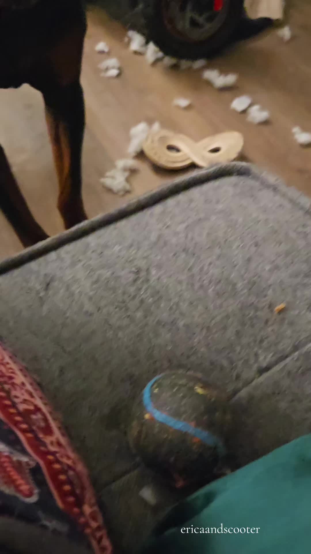 @ericaandscooter