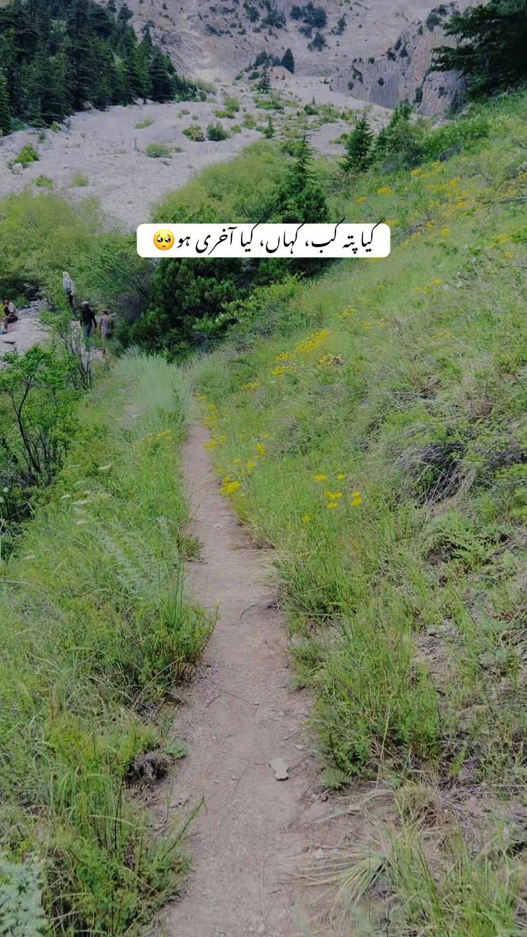 @Adnan John